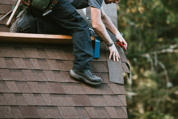 Best Shingle Roofing Installation  in Kimball, TN